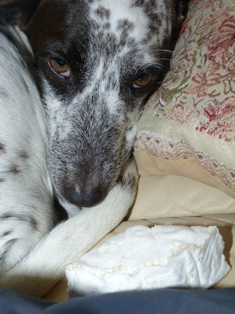 Карина Одэбер | Снежинск