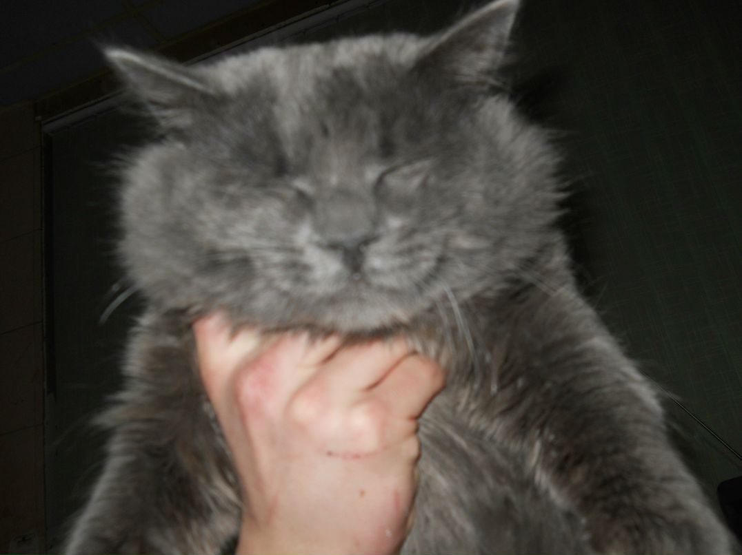 Олександр Бондар | Киев