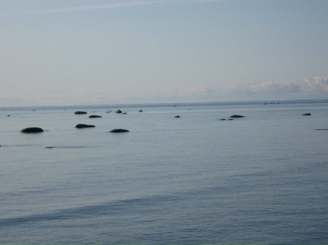 Василий Широкий | Санкт-Петербург