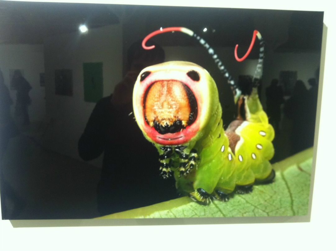 Алексей Матвеев | Москва