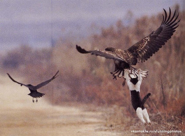 №5, Андрей Другомилов, 41 год, Минск №5, Андрей Другомилов, 41 год, Минск