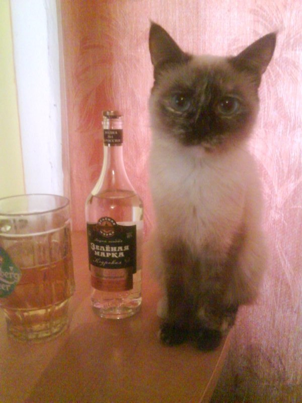 Андрей Давыденко | Челябинск