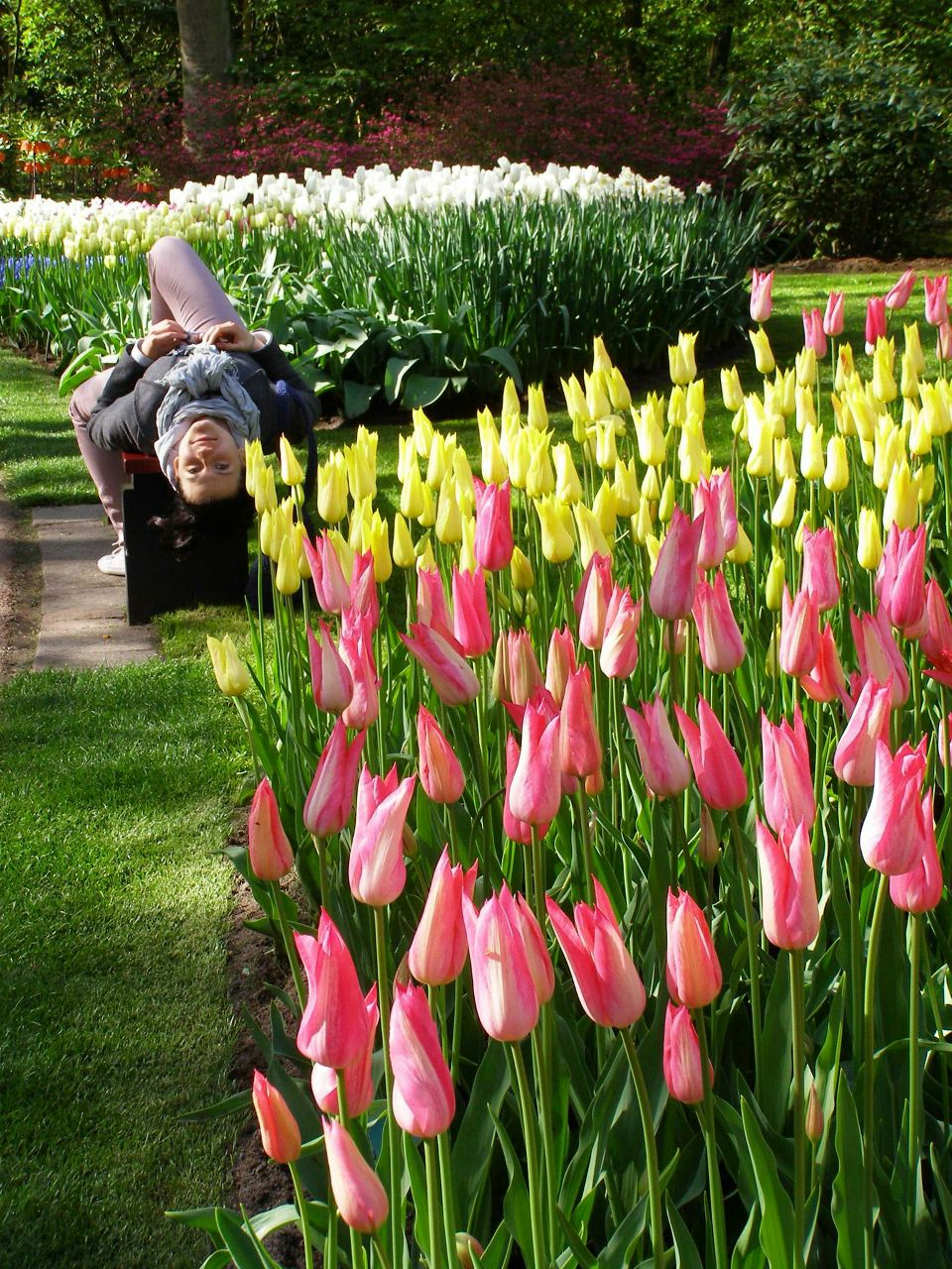 Таня Пеша | Харьков