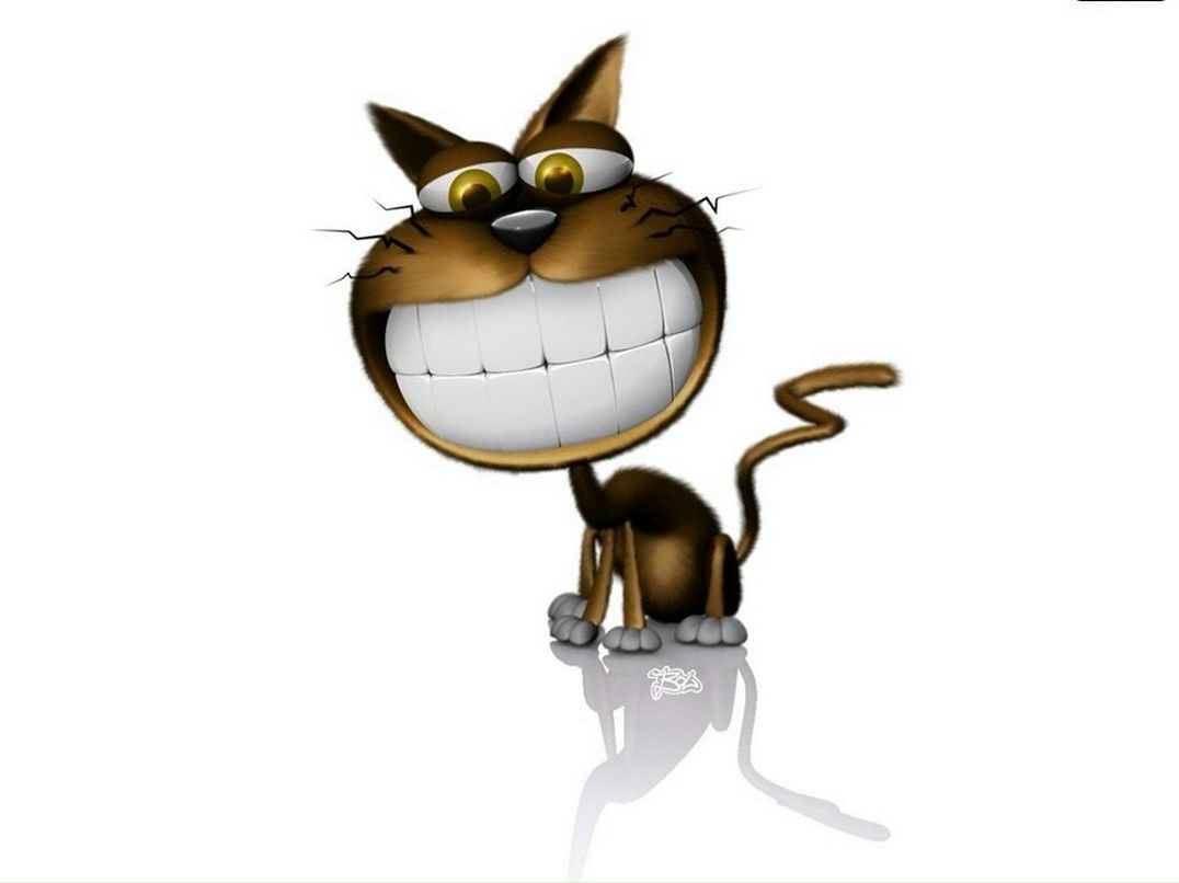 Александр Черноусик | Калининград