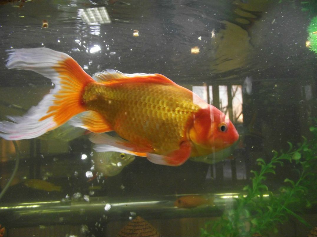 Павел Г | Омск