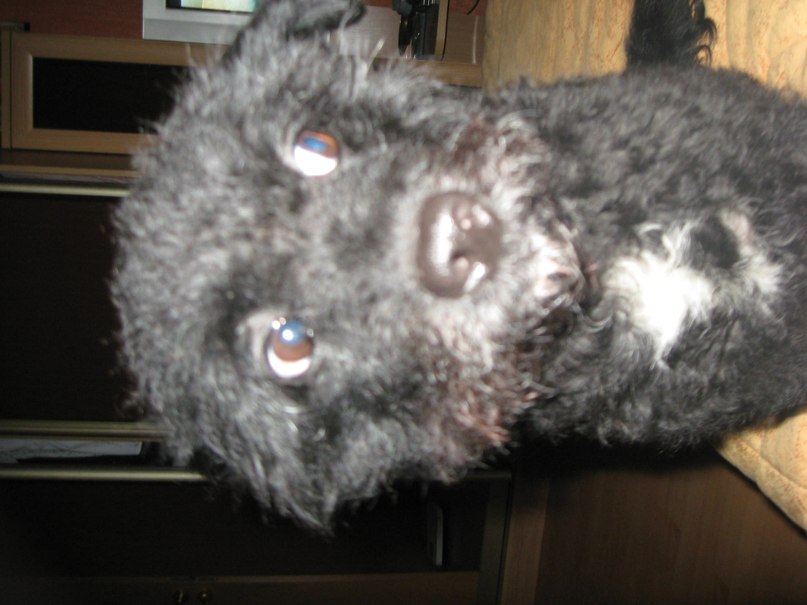 Павел Дерябин | Санкт-Петербург