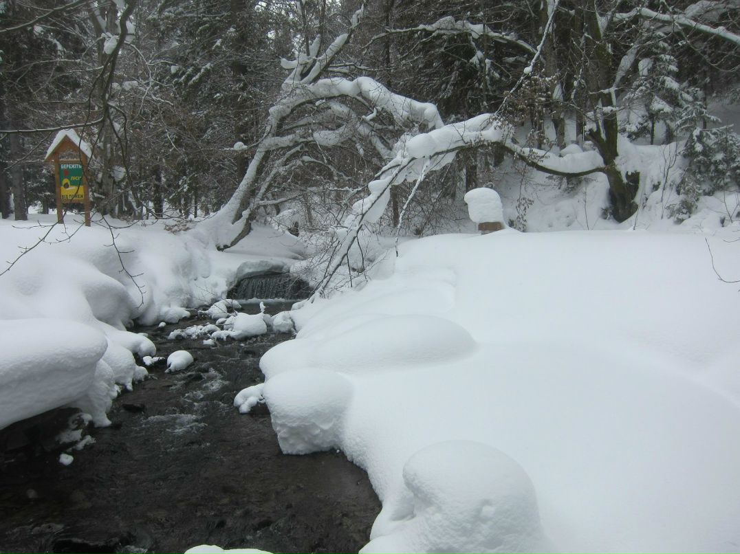 Ольга Назаренко | Киев