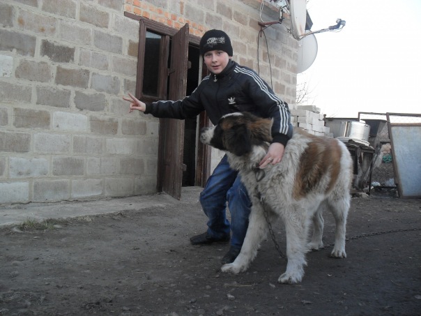 №38, Ярослав Попович, Петрово №38, Ярослав Попович, Петрово