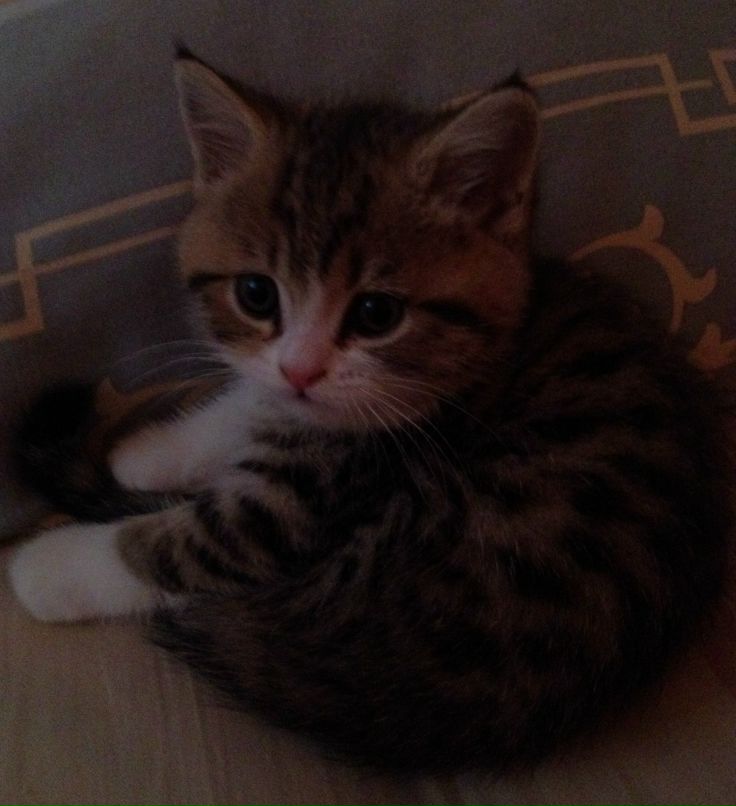 Маргарита Родина | Волгоград