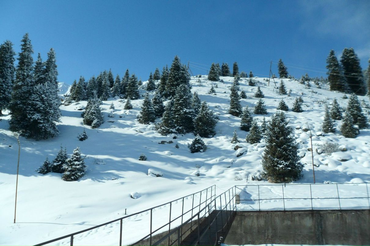 Роман Лебедко | Челябинск