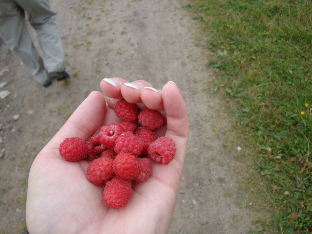 Ольга Богданова | Бокситогорск