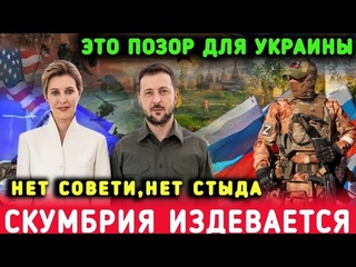 Скумбрия издевается: Зеленская привела украинцев в ярость одним постом.
