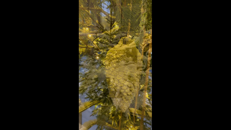 Видео от Anna