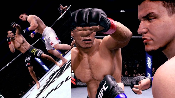 UFC Undisputed 3 The Epic Roster RINO