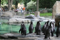 Зоопарк в чехии прага. Зоопарк в праге. Зоопарк в праге. Зоопарк в праге. Зоопарк прага здание.