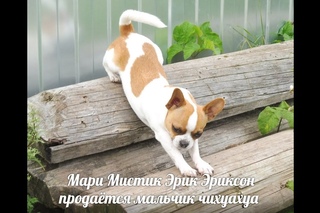 ПРОДАН ЭРИК ЭРИКСОН   ( сентябрь )