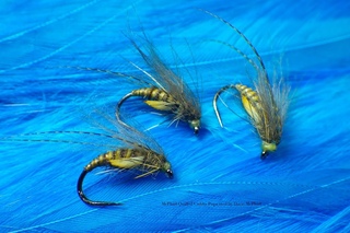 Tying a Quilled Caddis Pupa by Davie McPhail