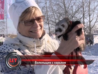 Лыжня России 2016. Сюжет Центральной трибуны