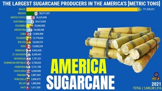 THE LARGEST SUGARCANE PRODUCERS IN THE AMERICA’S