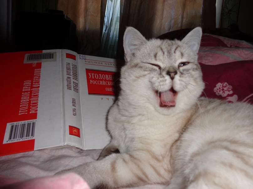 Наталья Мокрушина | Кемерово