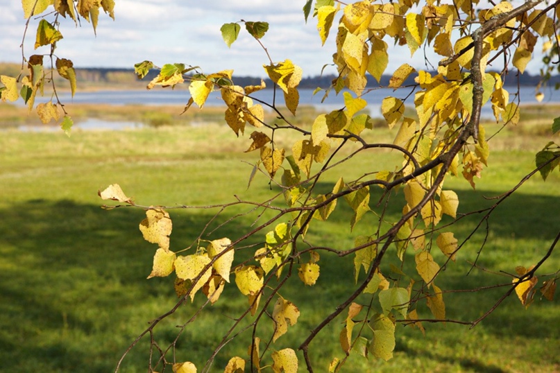 Андрей Шубарцов | Псков