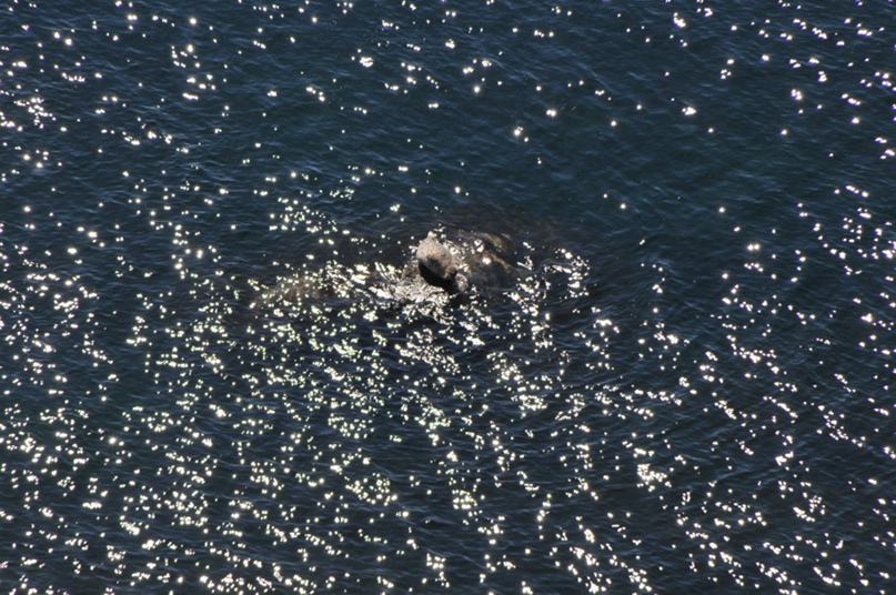 Олег Баранцев | Владивосток