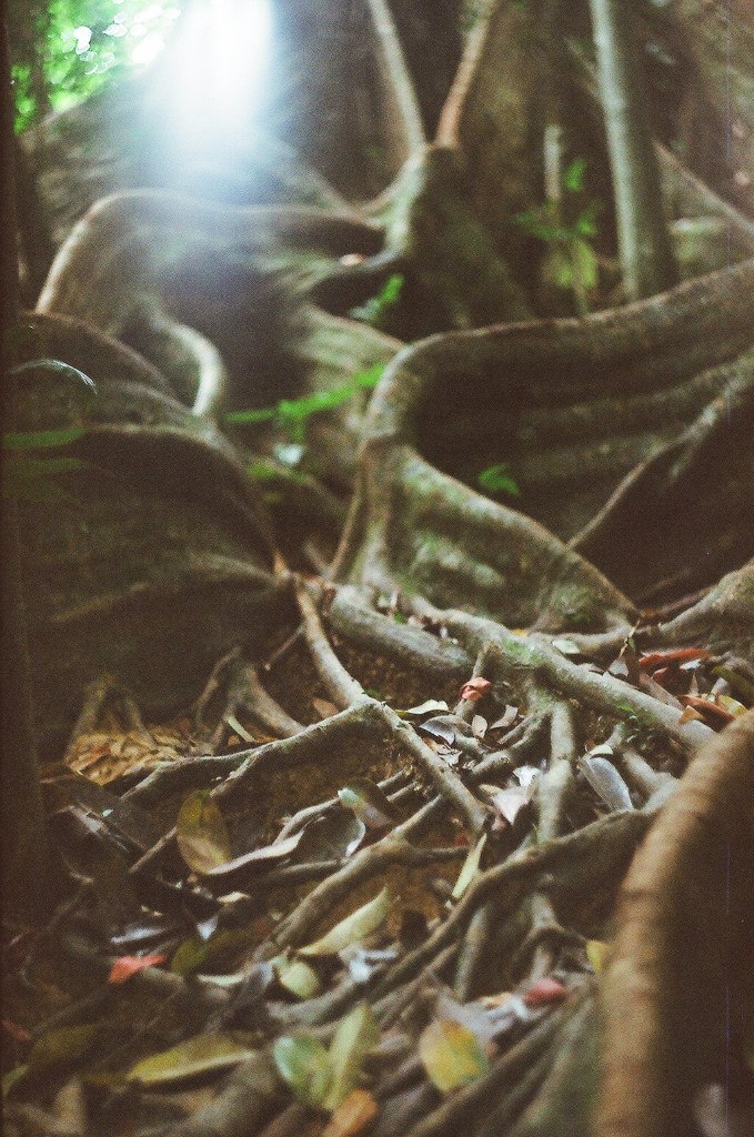 Полина Климова | Москва