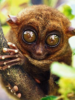 Леонид Спейский | Санкт-Петербург