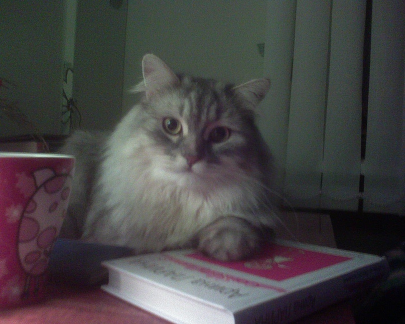 Ирина Журавлева | Волгоград