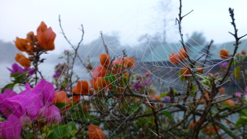 Вера Громова | Москва