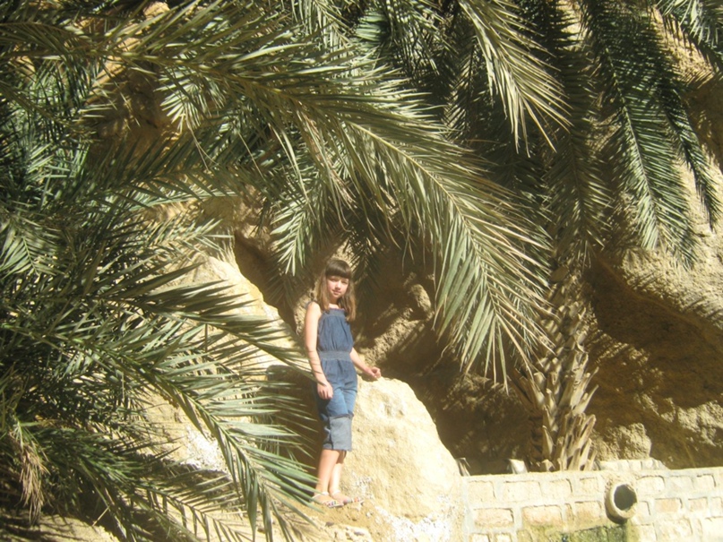 Светлана Степанова | Санкт-Петербург