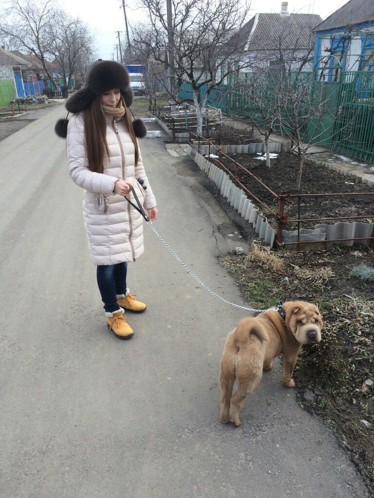 Анастасия Ткачёва |