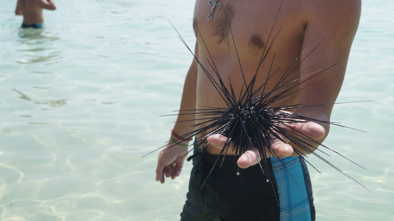 Надежда Зимина | Новосибирск