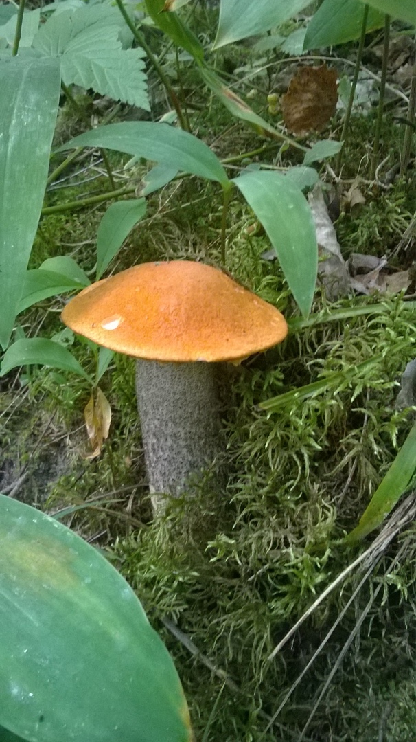 Оксана Потапова | Санкт-Петербург