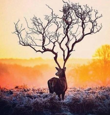 Даниил Назаров | Санкт-Петербург