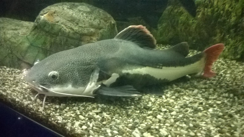 Екатерина Желнина | Пермь