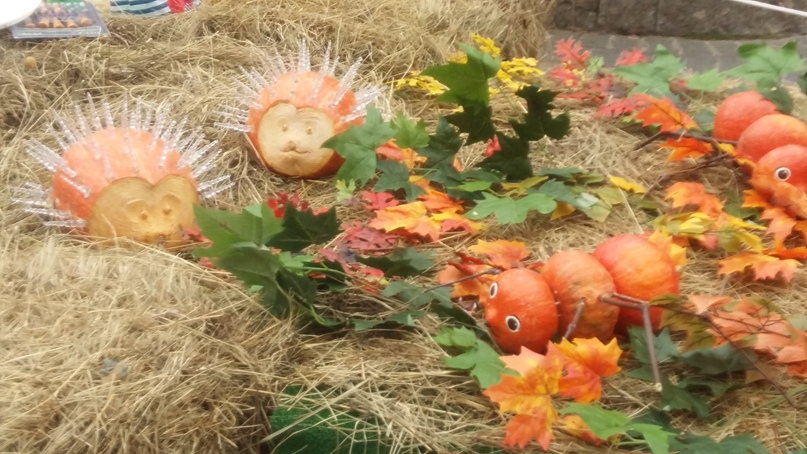 Светлана Романова | Смоленск