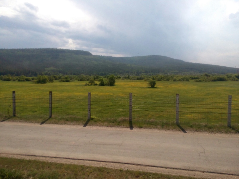 Сергей Бугаев |