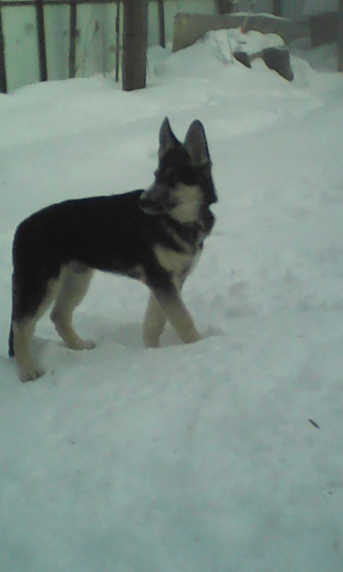 Александр Ремезов Сергеевич | Тверь