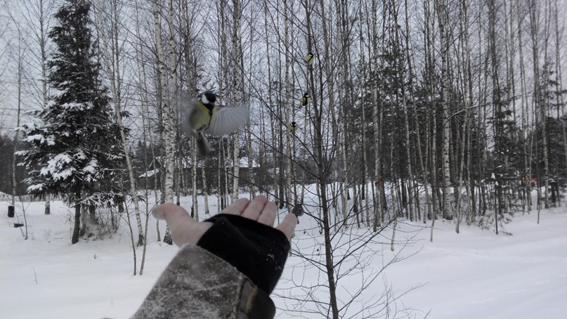 Роман Колобов | Санкт-Петербург