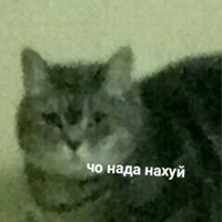 -HiRiS-