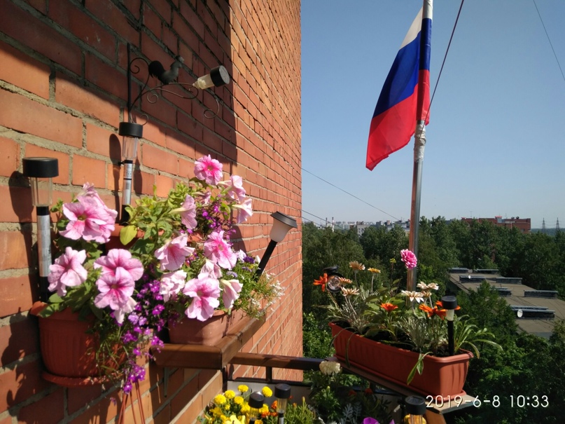 Илья Зубов | Санкт-Петербург