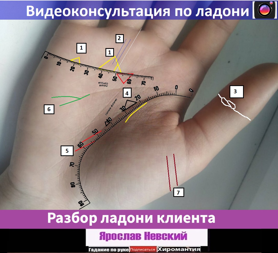 Разбор по ладони