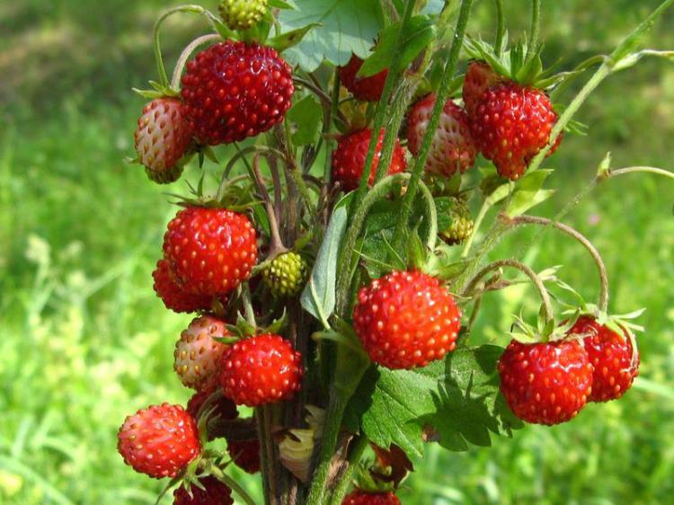 Татьяна Балуева | Пермь