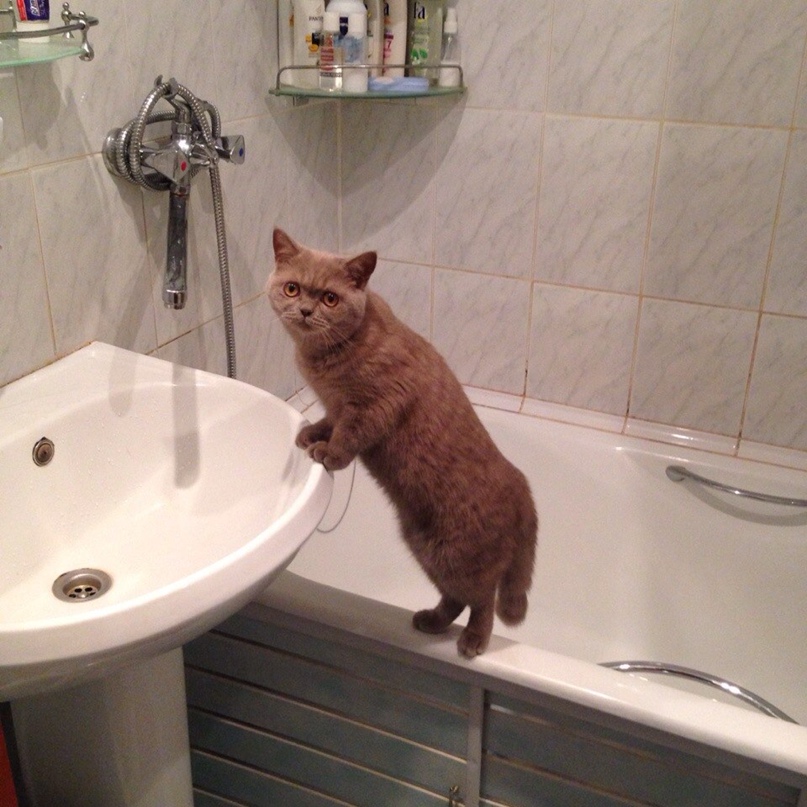 Олеся Леся | Санкт-Петербург