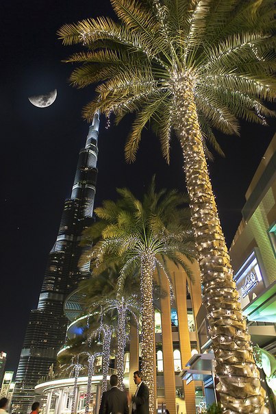 Таня Остапенко |