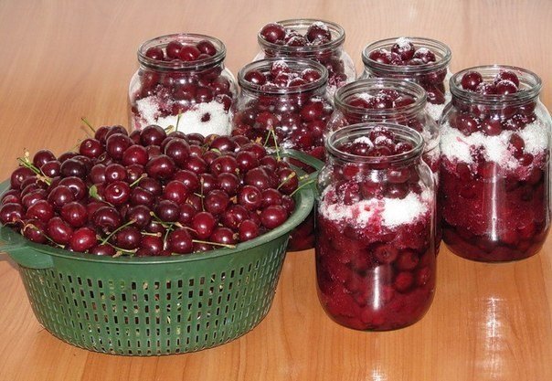 Татьяна Василевская | Чернигов