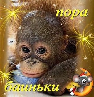 Ольга Мещерякова | Самара