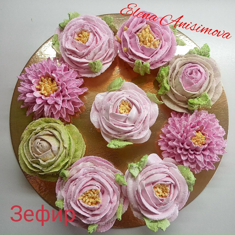 Елена Анисимова | Рязань