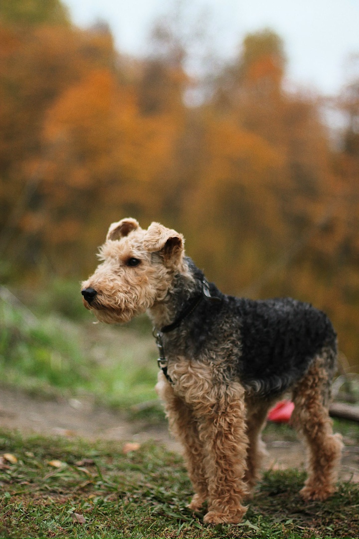 Дамир Хайров | Пенза